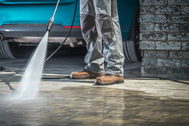 Best Animal Enclosure Cleaning  in White Bear Lake, MN